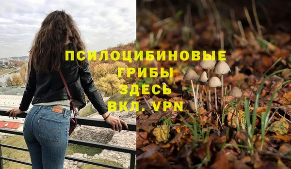 стаф Гусиноозёрск