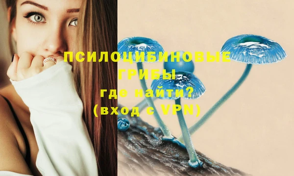соль курить ск Гусь-Хрустальный