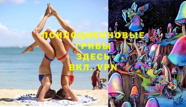 стаф Гусиноозёрск