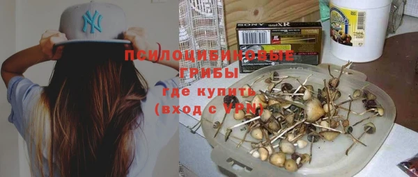стаф Гусиноозёрск