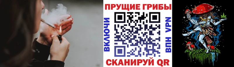 Галлюциногенные грибы GOLDEN TEACHER  blacksprut вход  Полтавская  где купить наркоту 